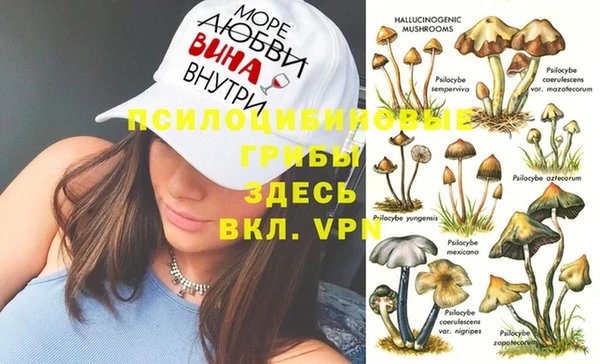 МДПВ Арсеньев