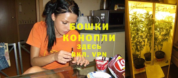МДПВ Арсеньев